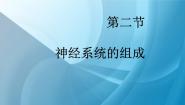 生物第二节 神经系统的组成课文内容课件ppt