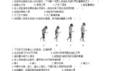 北师大版八年级下册第3节  人类的起源与进化测试题