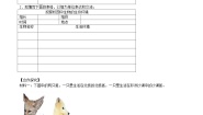 北师大版八年级下册第八单元  生物与环境第23章  生态系统及其稳定性第1节 生物的生存依赖一定的环境导学案
