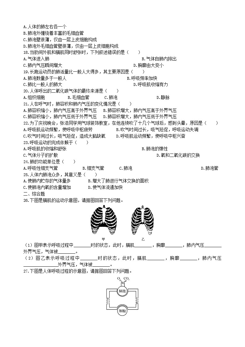 北师大版生物七年级下册 第10章 《人体的能量供应》章末检测202