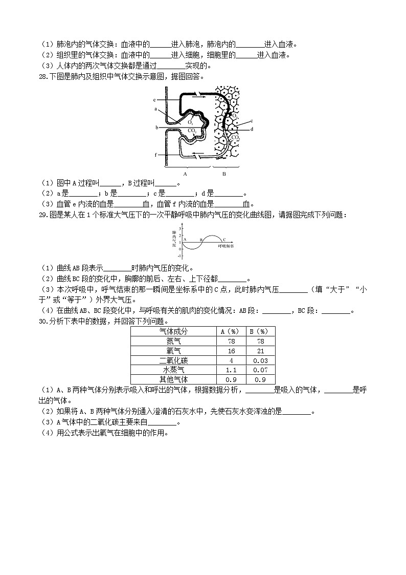 北师大版生物七年级下册 第10章 《人体的能量供应》章末检测203