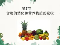 初中第2节 食物的消化和营养物质的吸收多媒体教学课件ppt