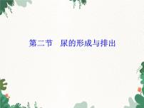 初中生物北师大版七年级下册第2节  尿的形成与排出课文配套ppt课件