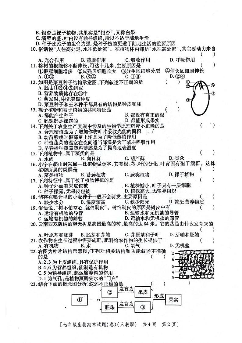 陕西省咸阳市永寿县御家宫中学2021-2022学年七年级上学期期末测试生物试题02