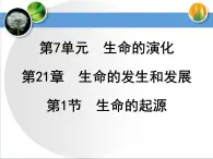 7.21.1生命的起源课件2023-2024学年北师大版生物八年级下册