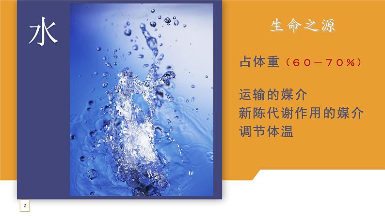 尿液的形成和排出 第一课时 课件第2页