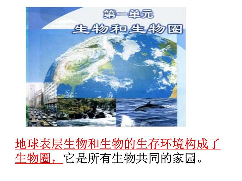 1.1.1+生物的特征课件2023-2024学年人教版生物七年级上册03