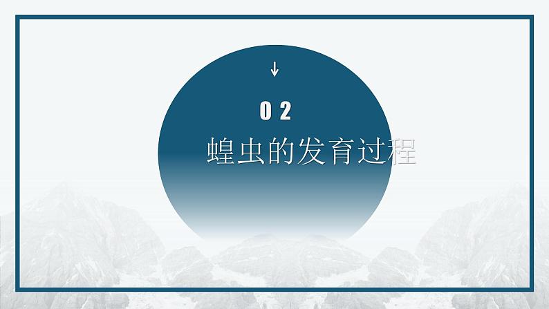 7.1.2 昆虫的生殖和发育课件2023--2024学年人教版生物八年级下册第7页