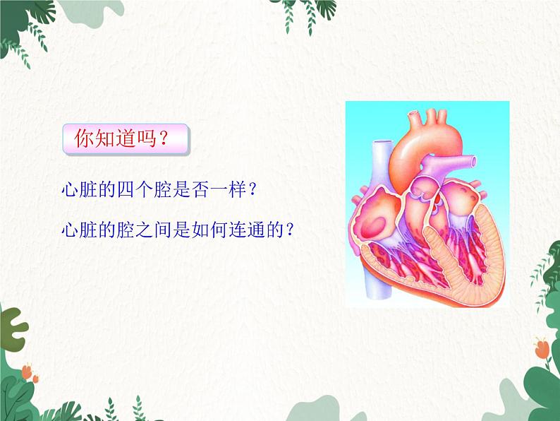 北师大版生物七年级下册 第9章 第2节 《血液循环》课件(第2课时)第6页