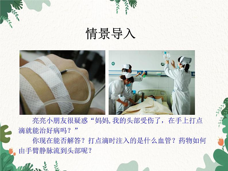 北师大版生物七年级下册 第9章 第2节 《血液循环》课件(第3课时)第3页