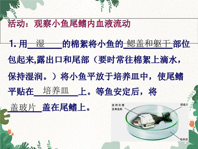 北师大版生物七年级下册 第9章 第2节 《血液循环》课件(第3课时)第4页