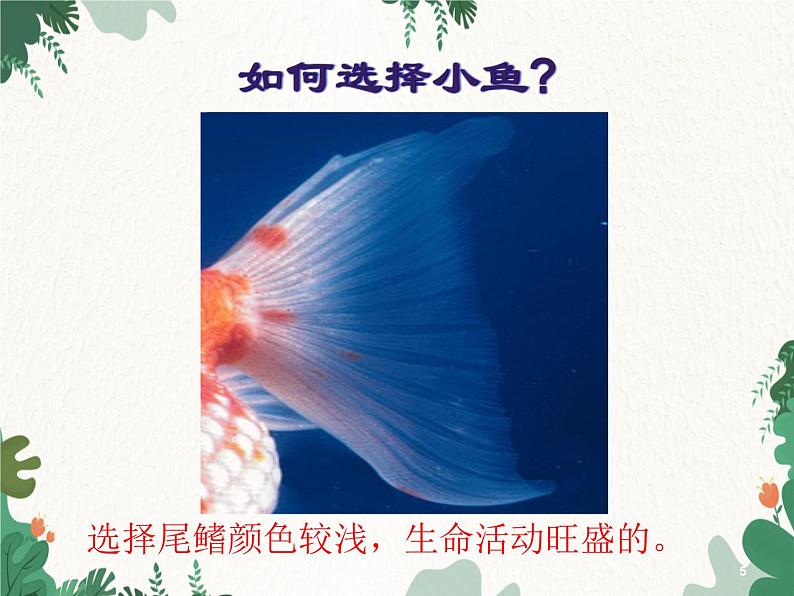 北师大版生物七年级下册 第9章 第2节 《血液循环》课件(第3课时)第5页