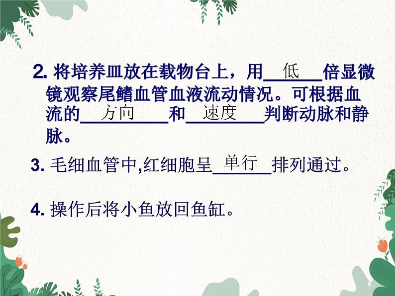 北师大版生物七年级下册 第9章 第2节 《血液循环》课件(第3课时)第6页