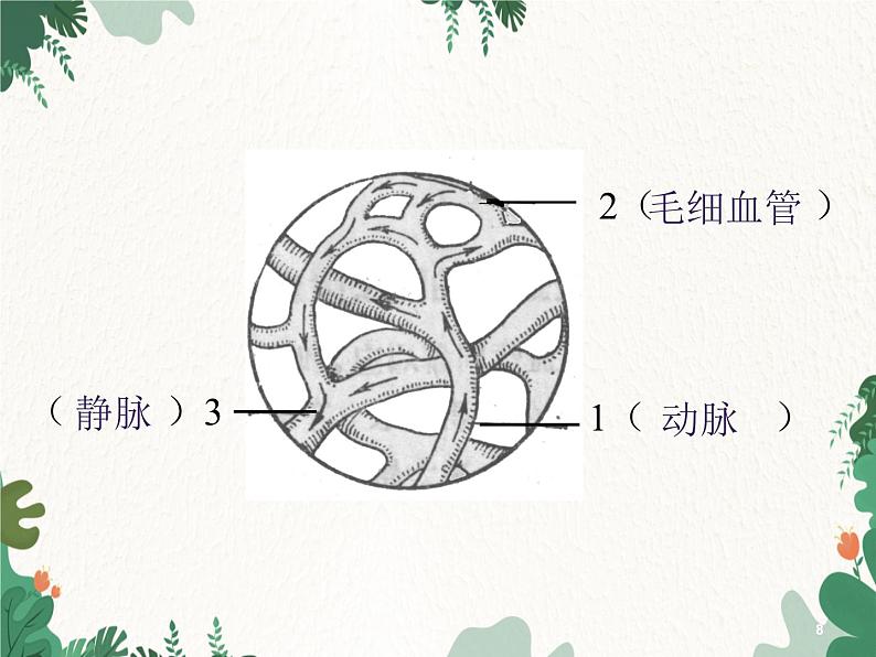 北师大版生物七年级下册 第9章 第2节 《血液循环》课件(第3课时)第8页