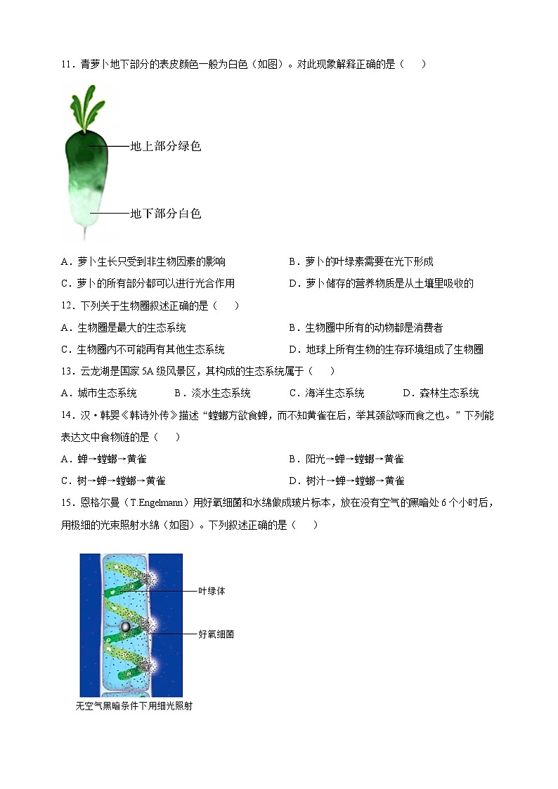 徐州市2022-2023学年七年级上学期期末生物试题(含答案和解析)03