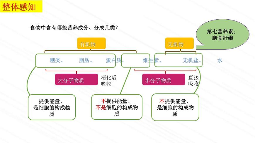 3.1.1++食物的營養(yǎng)成分++課件-2022-2023學(xué)年濟(jì)南版生物七年級(jí)下冊第6頁