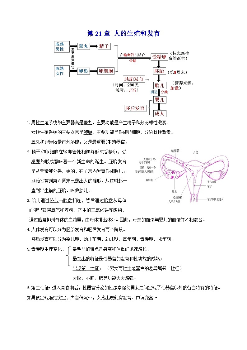 苏科版八年级上册生物第21章《人的生殖和发育》 知识点讲义01