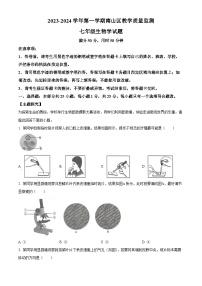 广东省深圳市南山区2023-2024学年七年级上学期期末生物试题（原卷版+解析版）