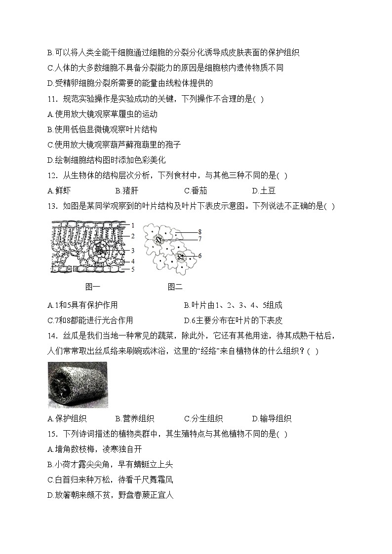 山东省济宁市微山县2023-2024学年七年级上学期期中考试生物试卷(含答案)03