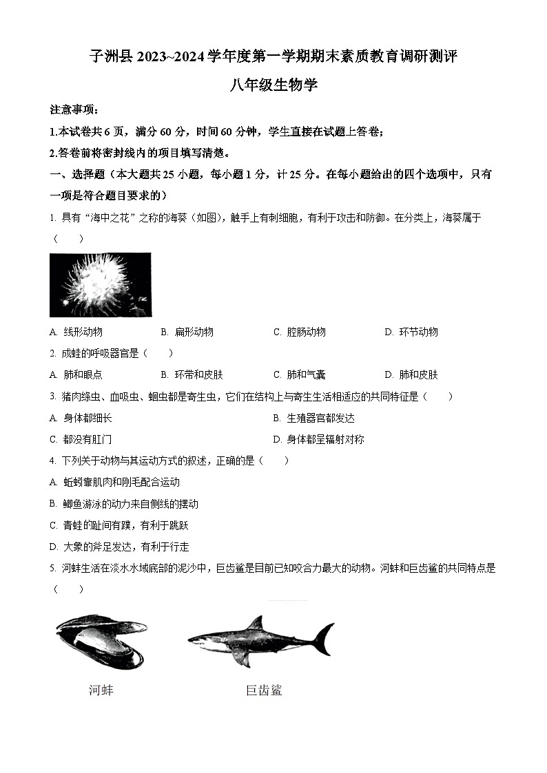 精品解析：陜西省榆林市子洲縣2023-2024學(xué)年八年級(jí)上學(xué)期期末生物試題（原卷版）第1頁(yè)