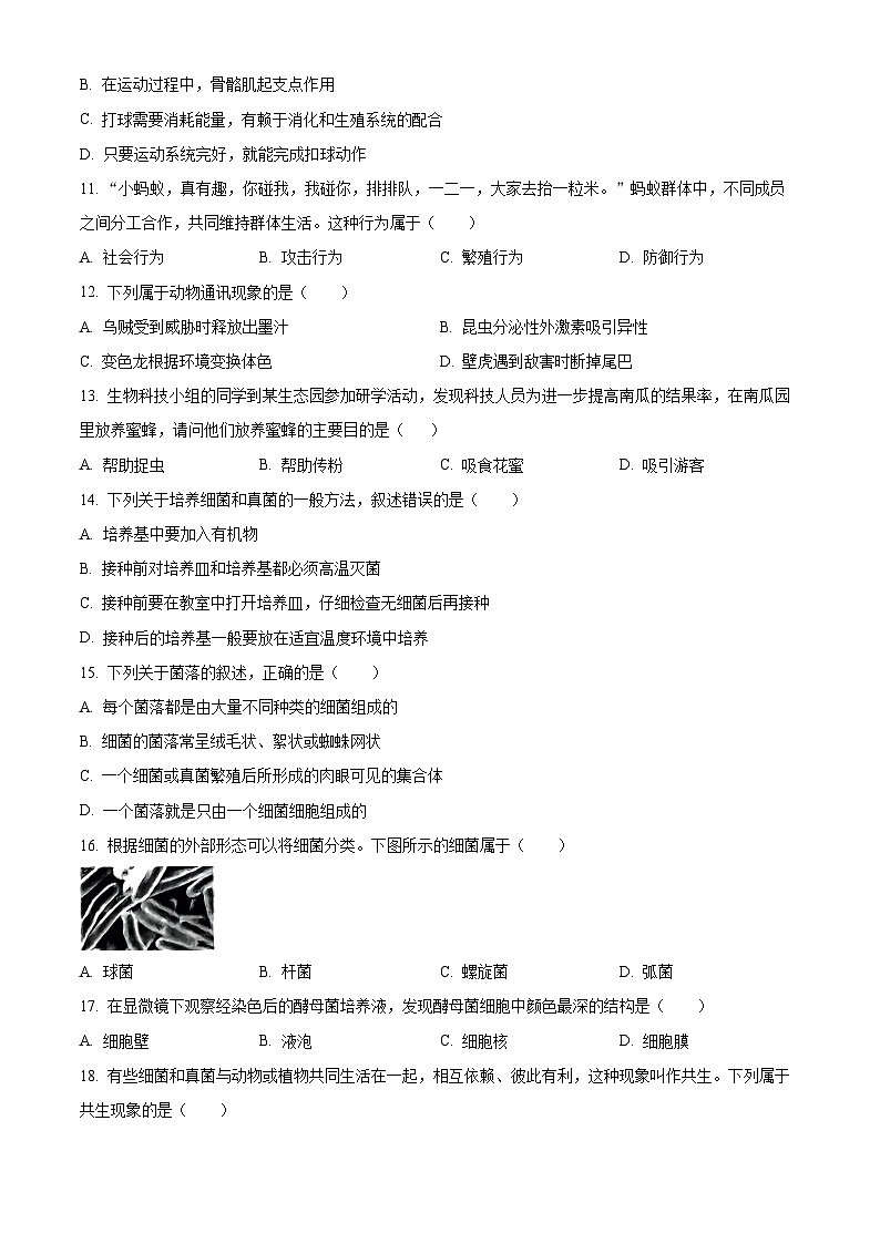 精品解析：陜西省榆林市子洲縣2023-2024學(xué)年八年級(jí)上學(xué)期期末生物試題（原卷版）第3頁(yè)