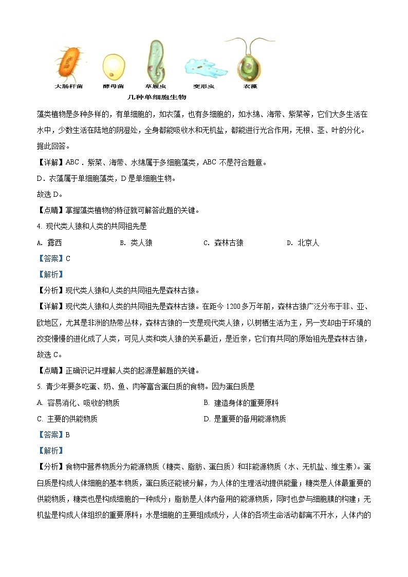 精品解析：貴州省黔東南州2021年中考生物試題（解析版）第3頁(yè)