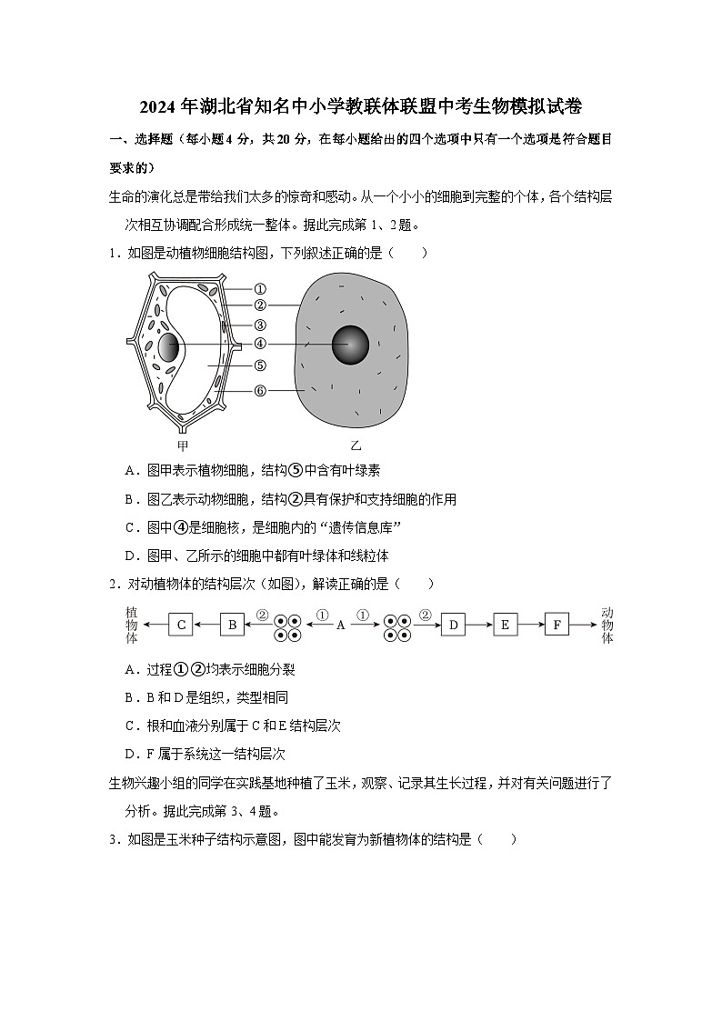 2024年湖北省知名中小学教联体联盟中考生物模拟试卷(原卷+解析版)第1页