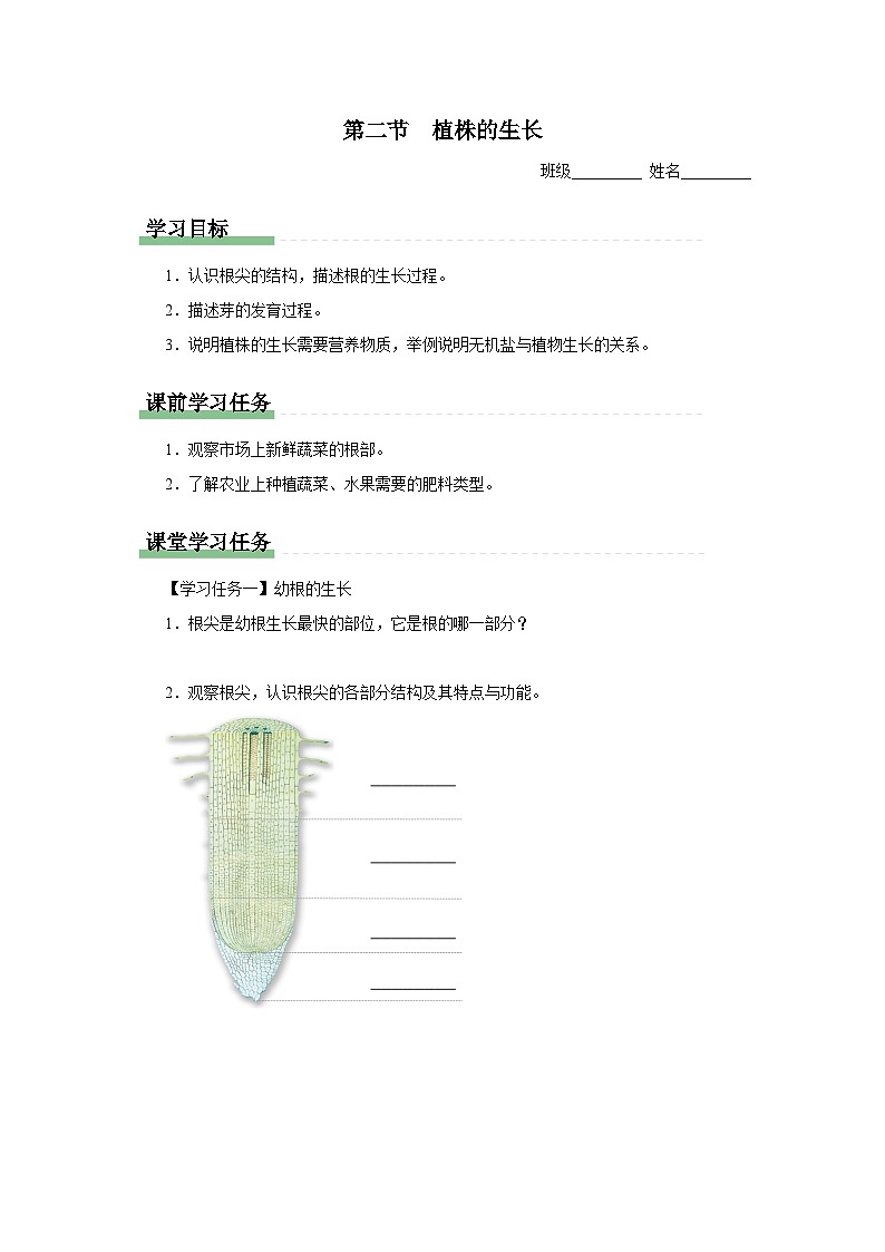 3.2.2 植株的生长(知识导学)第1页