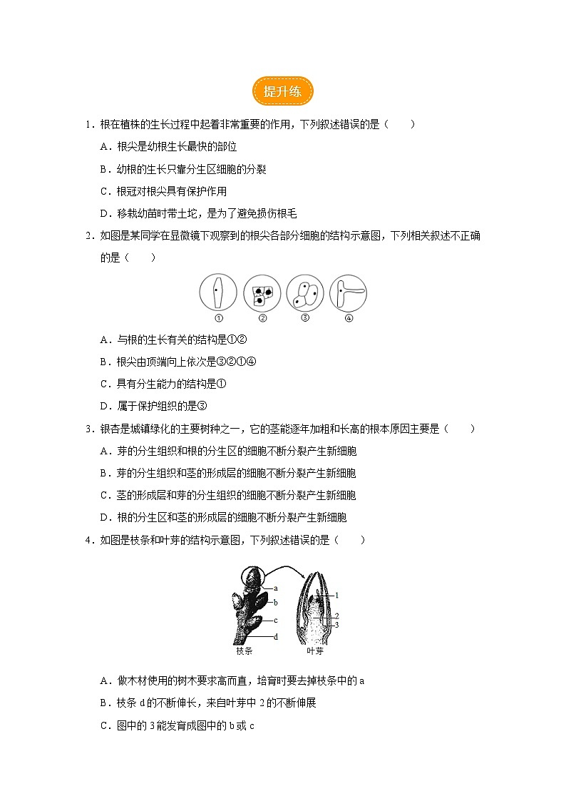 3.2.2 植株的生长(分层作业)第2页