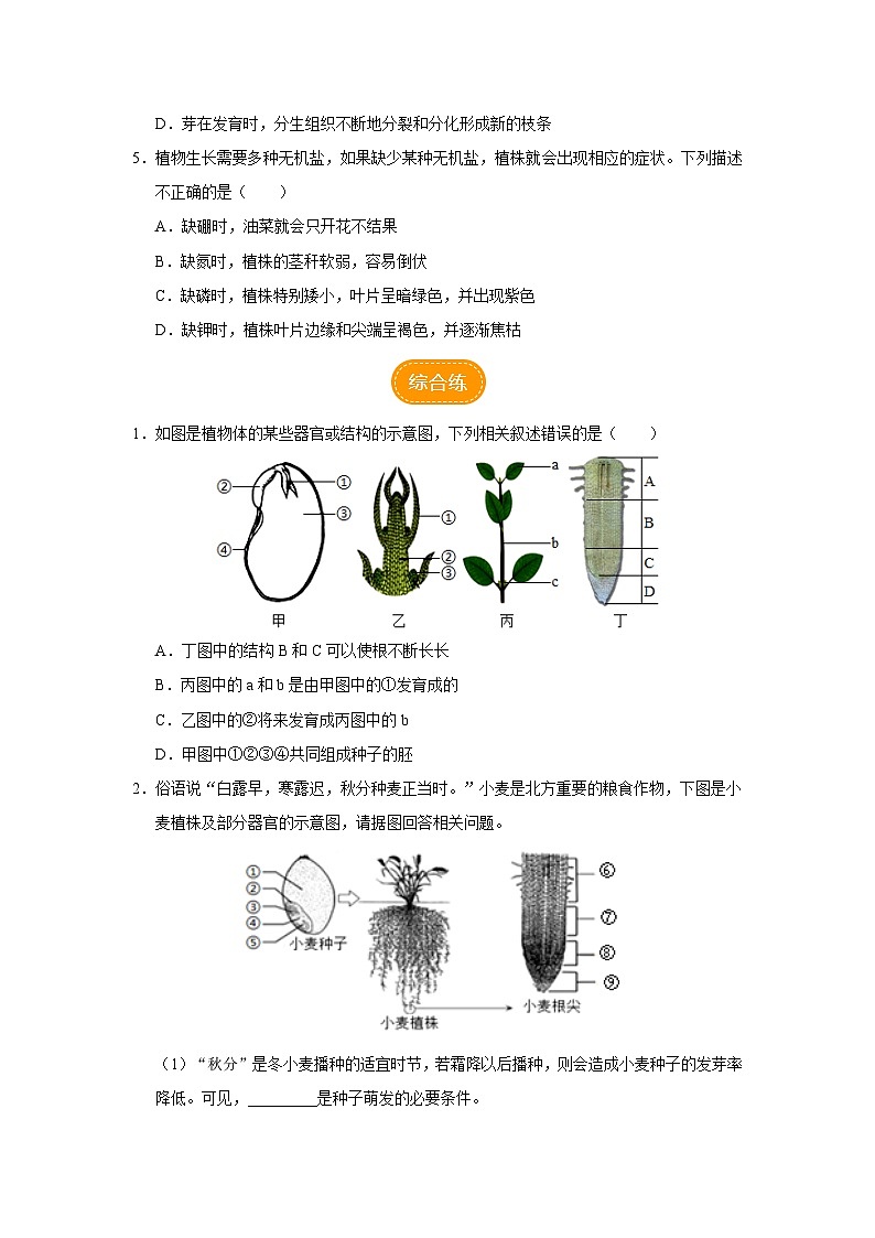 3.2.2 植株的生长(分层作业)第3页