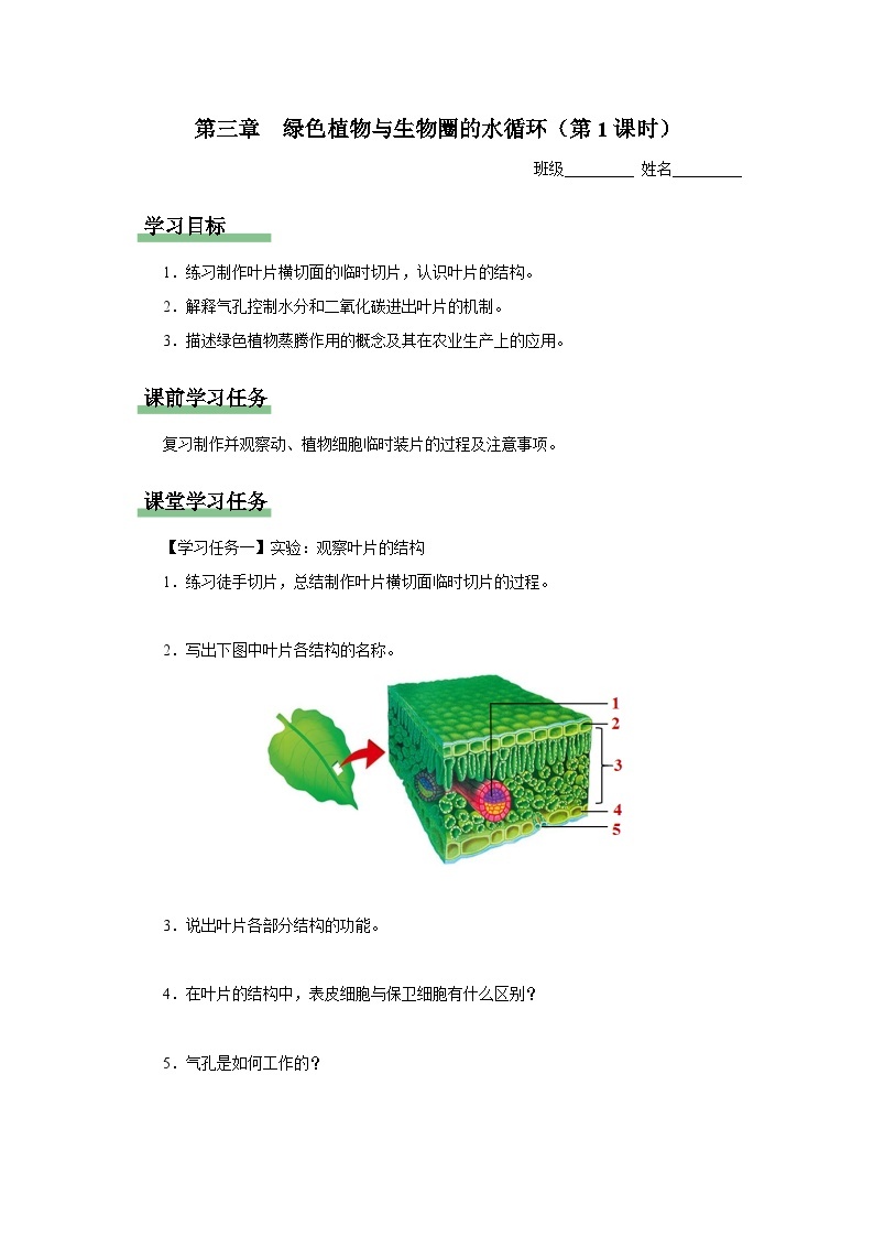 【人教版】七上生物   3.3 绿色植物与生物圈的水循环（第1课时）（课件+教案+导学案+练习）01