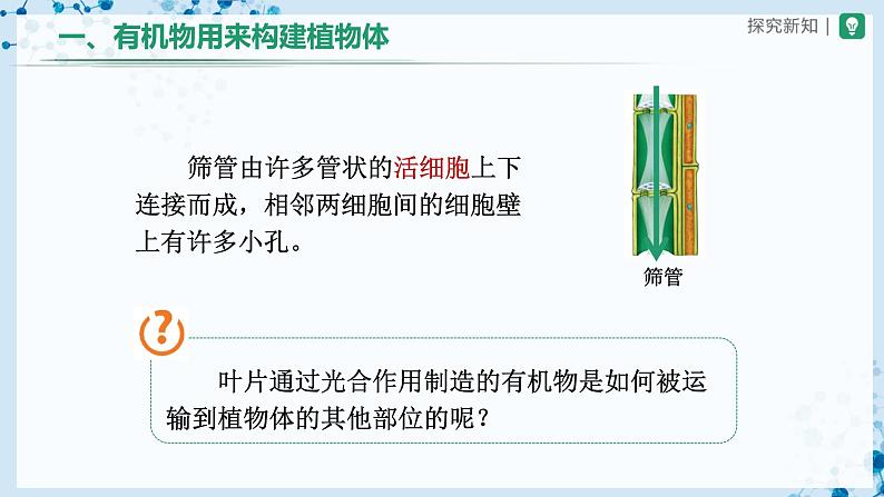 人教版七上生物 3.4 绿色植物是生物圈中有机物的制造者(第2课时) 课件+教案+练习+导学案04