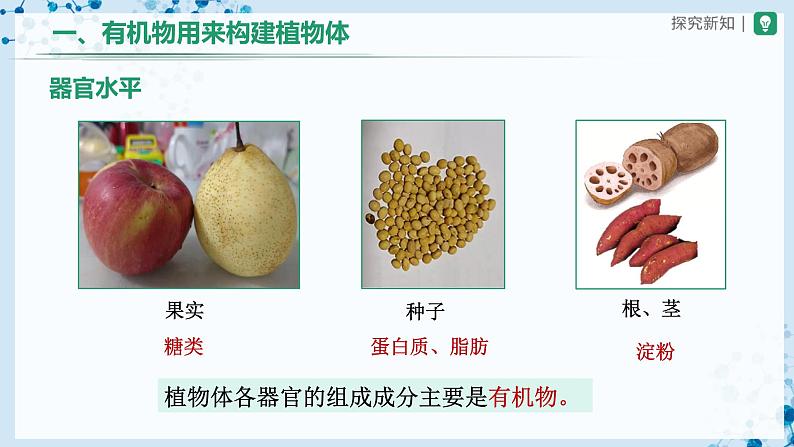 人教版七上生物 3.4 绿色植物是生物圈中有机物的制造者(第2课时) 课件+教案+练习+导学案07