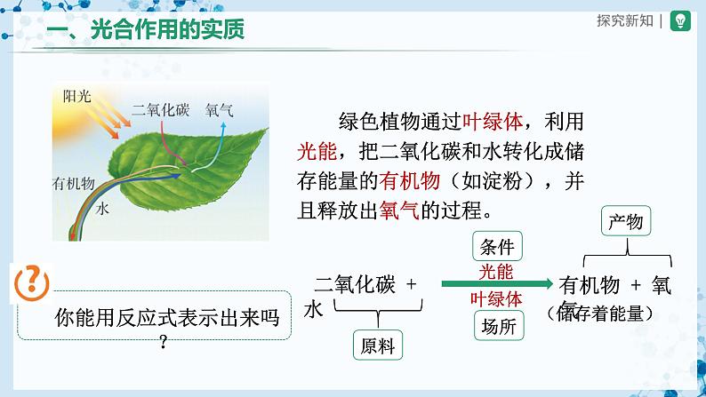 人教版七上生物 3.5.1 光合作用吸收二氧化碳释放氧气(第2课时) 课件+教案+练习+导学案06