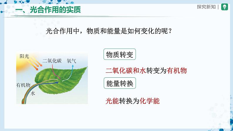 人教版七上生物 3.5.1 光合作用吸收二氧化碳释放氧气(第2课时) 课件+教案+练习+导学案07