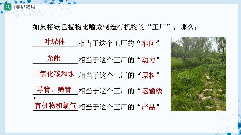 人教版七上生物 3.5.1 光合作用吸收二氧化碳释放氧气(第2课时) 课件+教案+练习+导学案08
