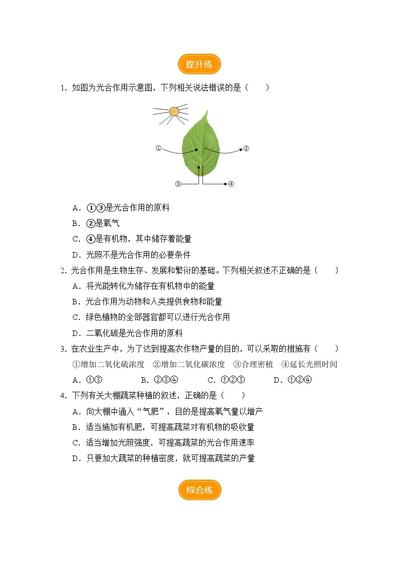 【人教版】七上生物   3.5.1 光合作用吸收二氧化碳释放氧气（第2课时）（课件+教案+导学案+练习）02