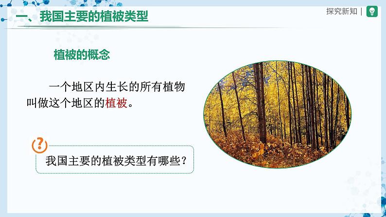 3.6+爱护植被,绿化祖国(教学课件) (人教版)第4页