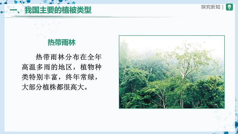 3.6+爱护植被,绿化祖国(教学课件) (人教版)第7页