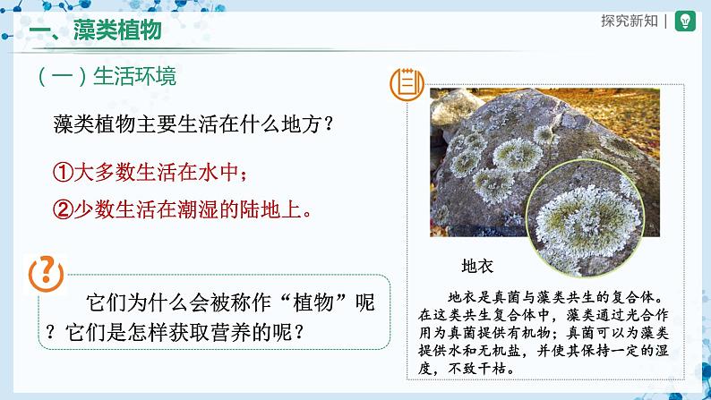 3.1.1+藻类、苔藓和蕨类植物(教学课件) (人教版)第7页