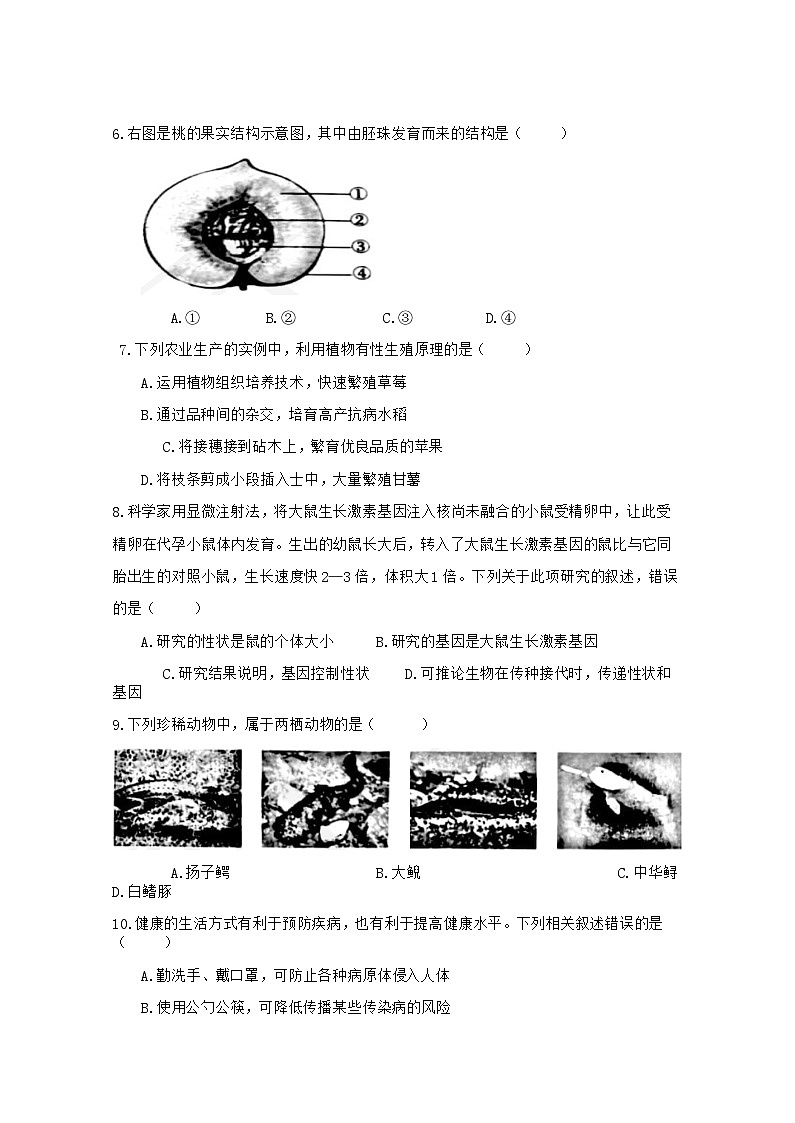 【全套精品專(zhuān)題】初中生物復(fù)習(xí)專(zhuān)題精講 安徽省初中生物學(xué)業(yè)水平考試題模擬卷（word版含解析）第2頁(yè)