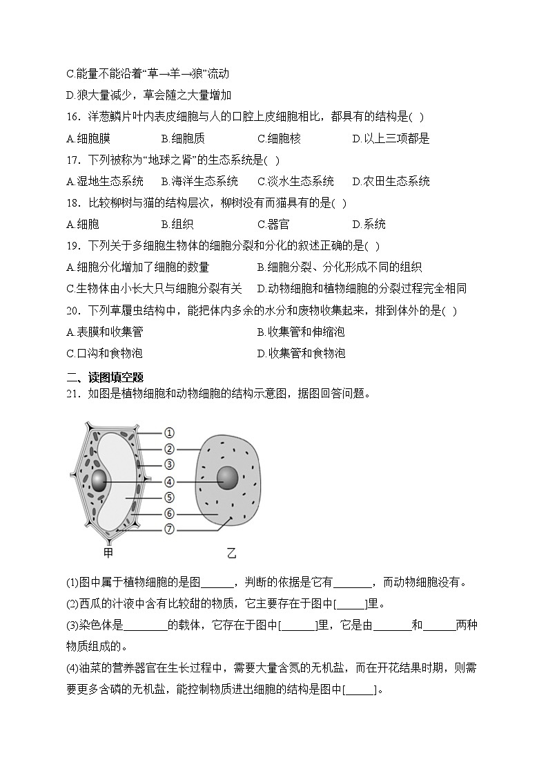 辽宁省丹东市九校联考2023-2024学年七年级上学期期中考试生物试卷(含答案)第3页