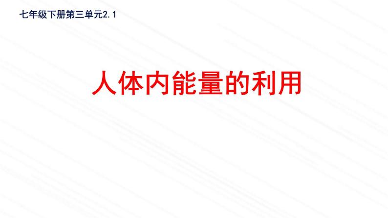 3.2.2+人体内能量的利用课件2023--2024学年济南版生物七年级下册第2页