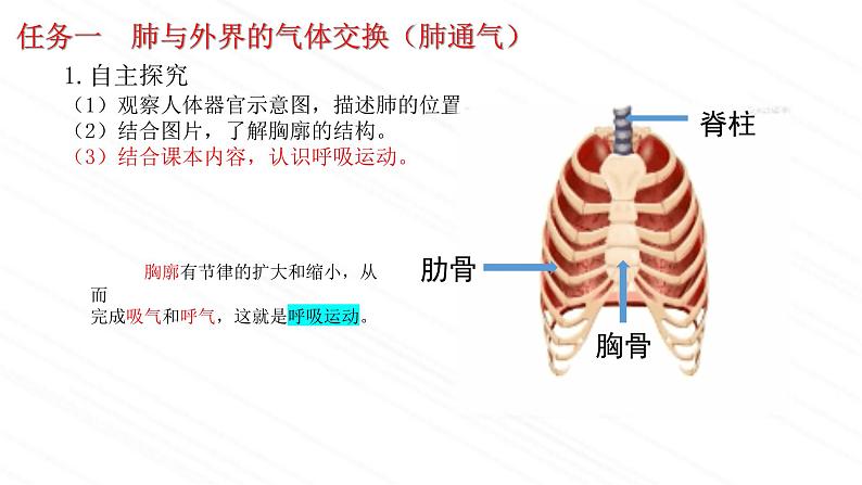 3.2.2+人体内能量的利用课件2023--2024学年济南版生物七年级下册第8页