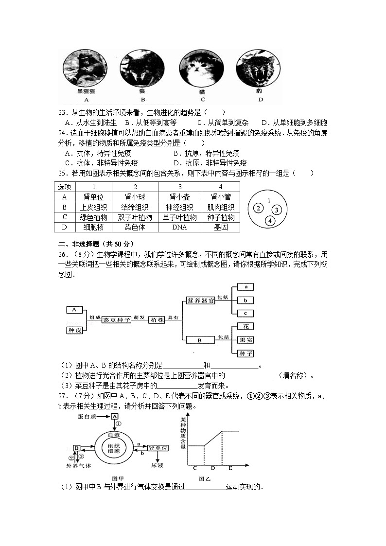 【全套精品专题】初中生物复习专题精讲 湖南永州中考生物模拟试题(word版,含答案)第3页