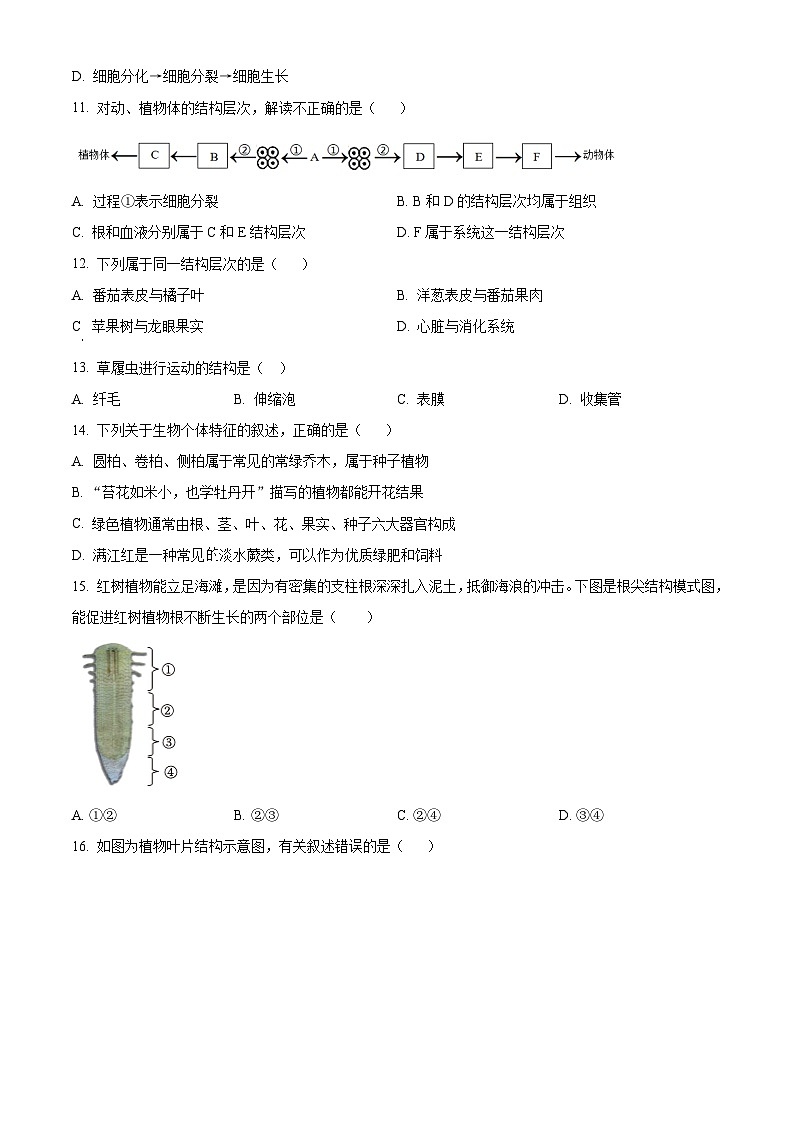 精品解析:甘肃省武威市凉州区二十四中学教研片2023-2024学年七年级下学期开学考试生物试题(原卷版)第3页