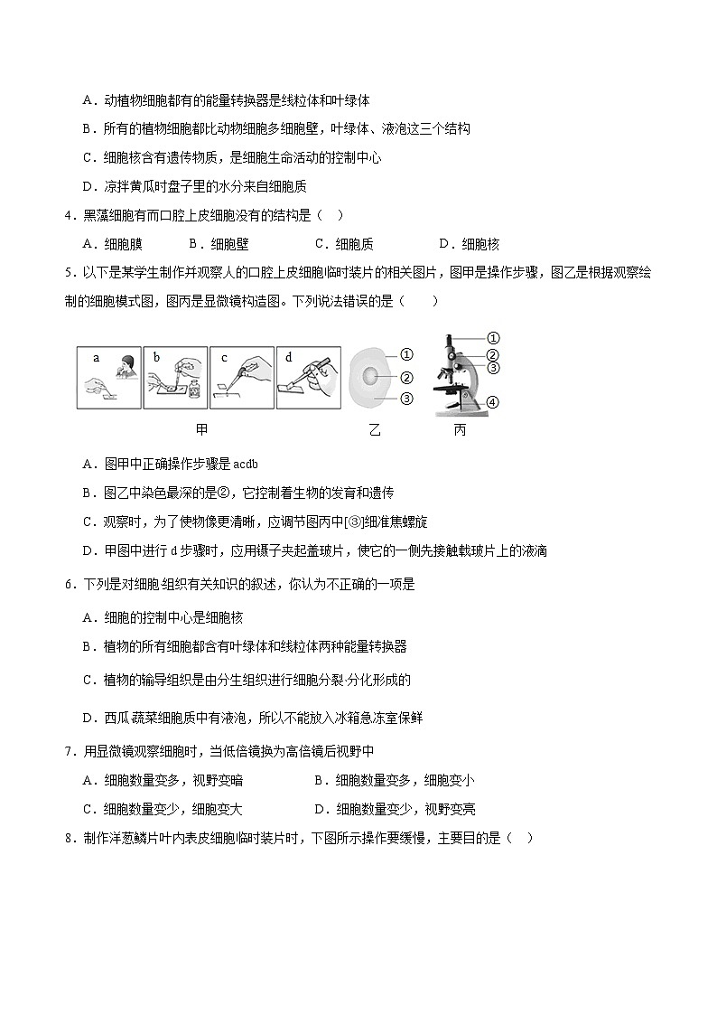 专题02 细胞是生命活动的基本单位(原卷版)第2页