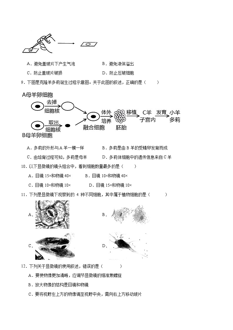 专题02 细胞是生命活动的基本单位(原卷版)第3页