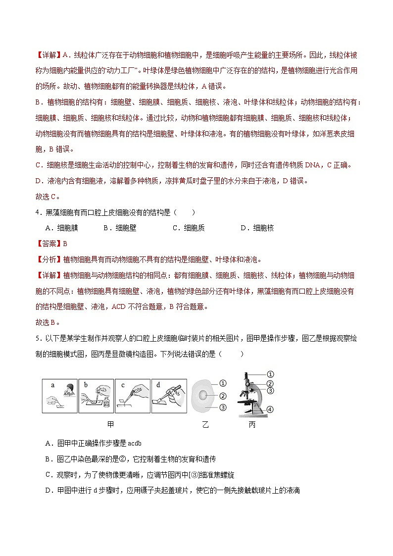 专题02 细胞是生命活动的基本单位(解析版)第3页