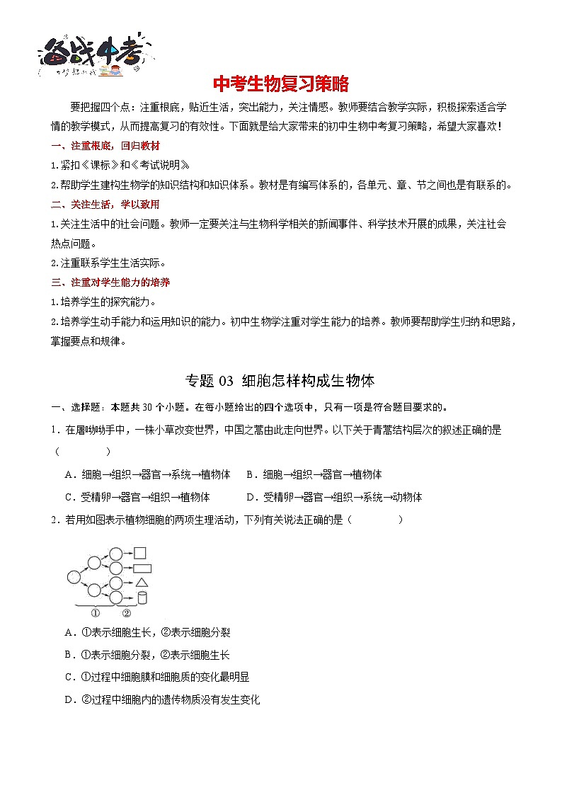 专题03 细胞怎样构成生物体(原卷版)第1页